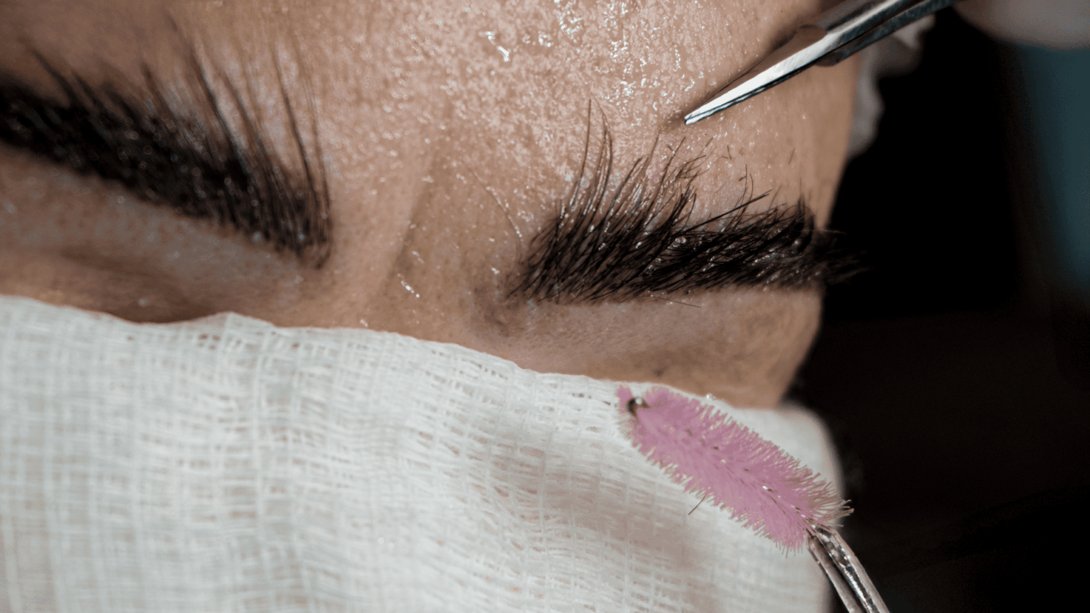 Hands-On Transplante de Sobrancelhas — Fio Longo